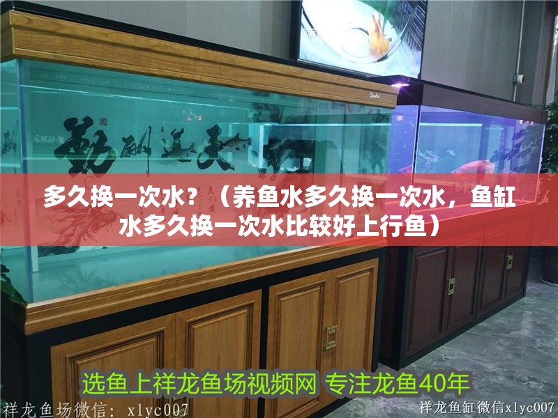 多久換一次水？（養魚水多久換一次水，魚缸水多久換一次水比較好上行魚）