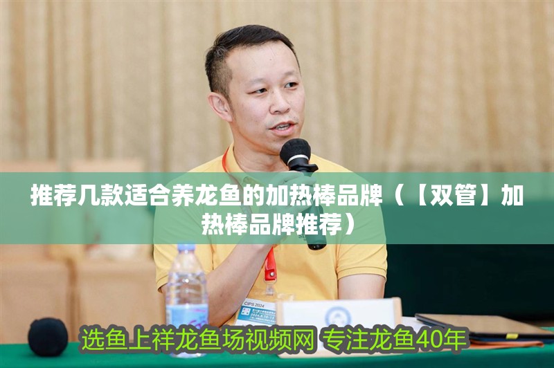 推薦幾款適合養龍魚的加熱棒品牌（【雙管】加熱棒品牌推薦）