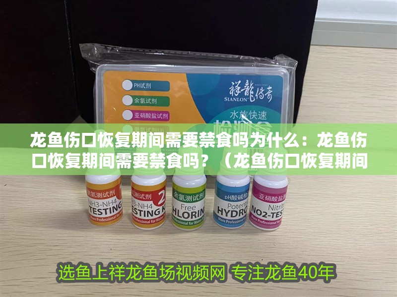 龍魚傷口恢復期間需要禁食嗎為什么：龍魚傷口恢復期間需要禁食嗎？（龍魚傷口恢復期間是否需要禁食，）