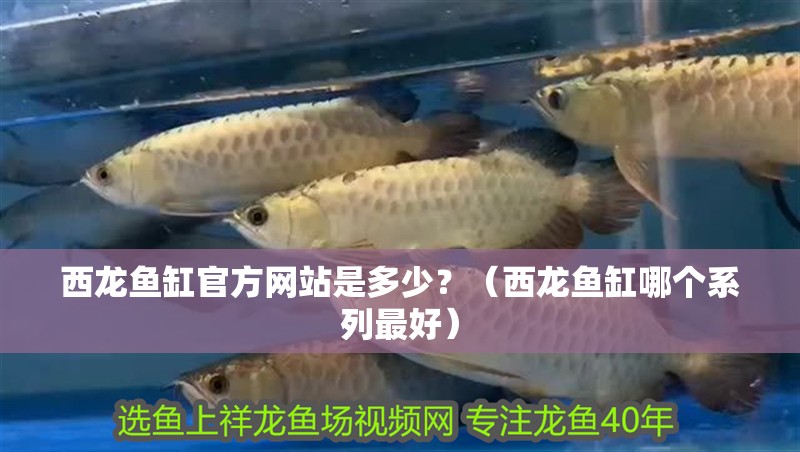 西龍魚缸官方網(wǎng)站是多少？（西龍魚缸哪個系列最好）