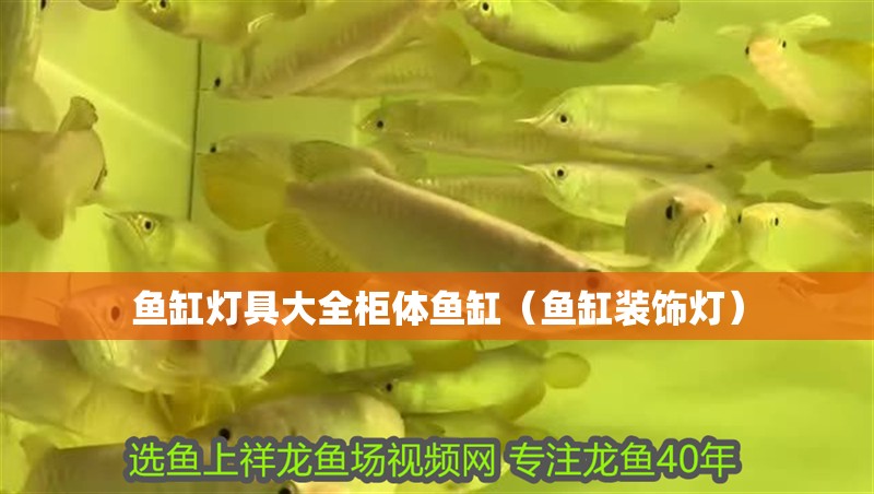 魚缸燈具大全柜體魚缸（魚缸裝飾燈）