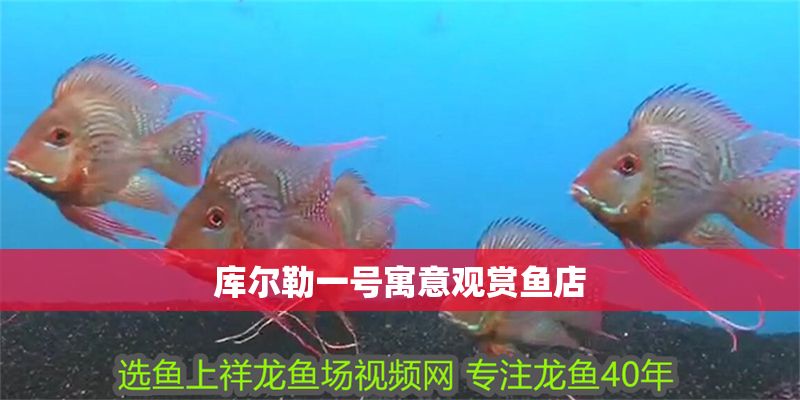 庫爾勒一號寓意觀賞魚店