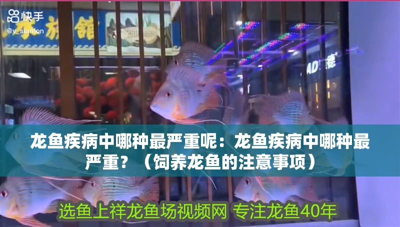 龍魚疾病中哪種最嚴重呢：龍魚疾病中哪種最嚴重？（飼養龍魚的注意事項）