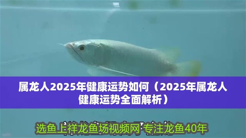 屬龍人2025年健康運勢如何（2025年屬龍人健康運勢全面解析）