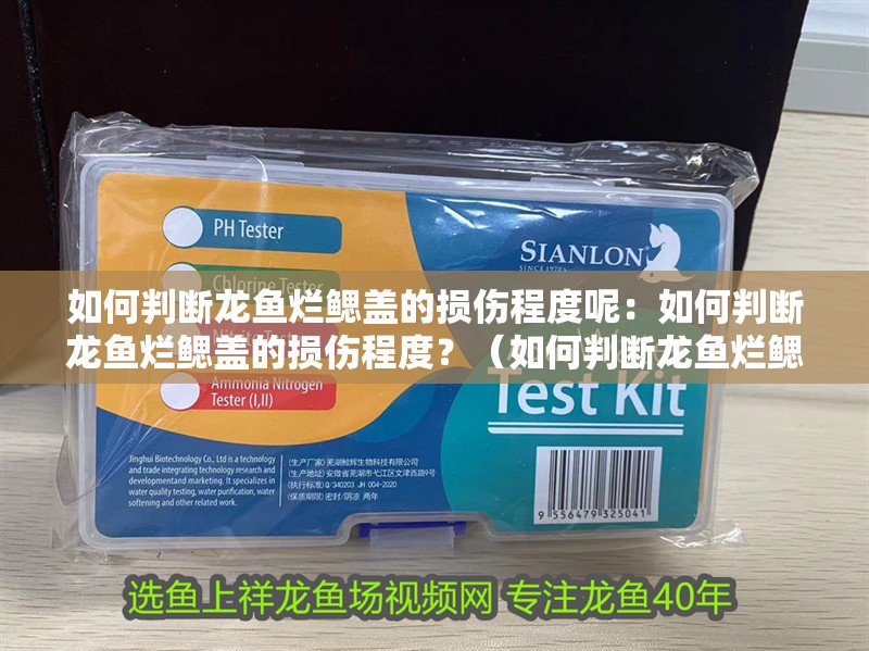 如何判斷龍魚爛鰓蓋的損傷程度呢：如何判斷龍魚爛鰓蓋的損傷程度？（如何判斷龍魚爛鰓蓋的損傷程度）