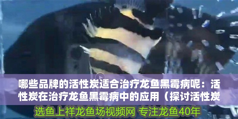 哪些品牌的活性炭適合治療龍魚黑霉病呢：活性炭在治療龍魚黑霉病中的應(yīng)用（探討活性炭治療龍魚黑霉病的適合治療龍魚黑霉病的適用性）