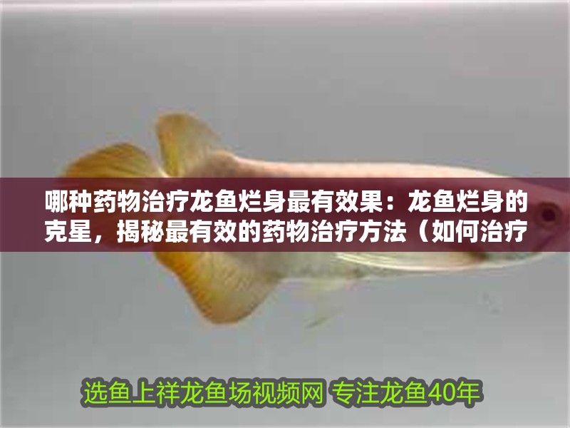 哪種藥物治療龍魚爛身最有效果：龍魚爛身的克星，揭秘最有效的藥物治療方法（如何治療龍魚爛身）