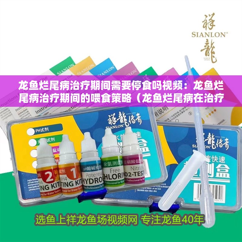 龍魚(yú)爛尾病治療期間需要停食嗎視頻：龍魚(yú)爛尾病治療期間的喂食策略（龍魚(yú)爛尾病在治療期間需要停食嗎）