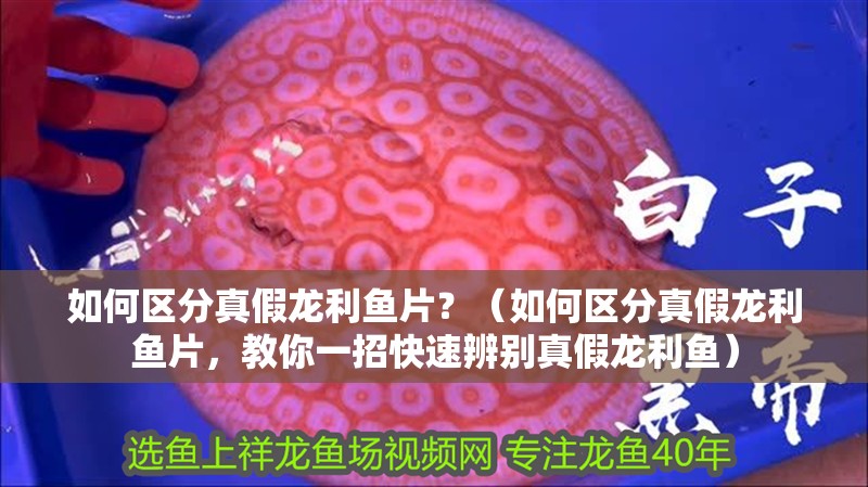 如何區(qū)分真假龍利魚片？（如何區(qū)分真假龍利魚片，教你一招快速辨別真假龍利魚）