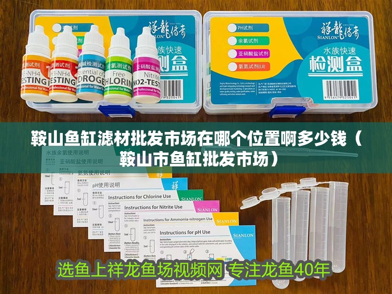 <strong><mark>鞍山</mark></strong>魚缸濾材批發市場在哪個位置啊多少錢（ <strong><mark>鞍山</mark></strong>市魚缸批發市場）