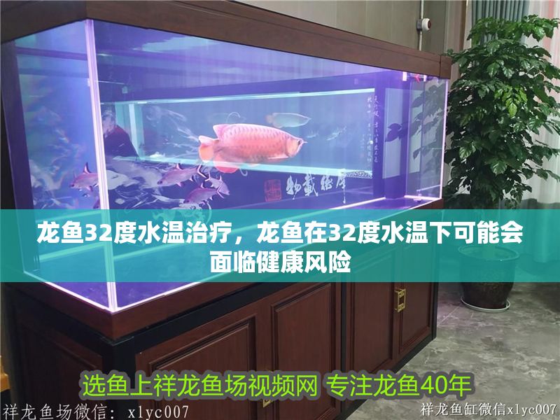 龍魚32度水溫治療，龍魚在32度水溫下可能會面臨健康風險