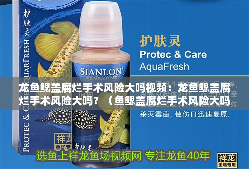 龍魚鰓蓋腐爛手術(shù)風(fēng)險大嗎視頻：龍魚鰓蓋腐爛手術(shù)風(fēng)險大嗎？（魚鰓蓋腐爛手術(shù)風(fēng)險大嗎，龍魚鰓蓋腐爛手術(shù)的風(fēng)險大嗎）