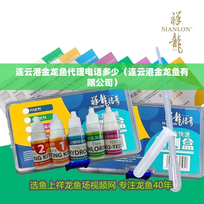 連云港金龍魚代理電話多少（連云港金龍魚有限公司）