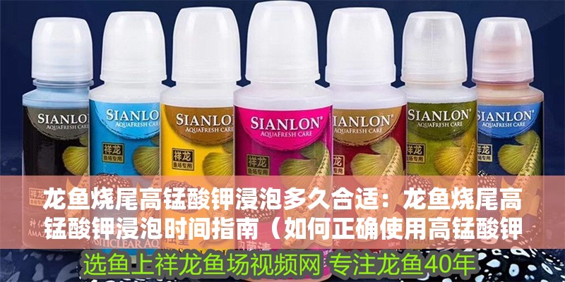 龍魚燒尾高錳酸鉀浸泡多久合適：龍魚燒尾高錳酸鉀浸泡時間指南（如何正確使用高錳酸鉀溶液處理龍魚的“燒尾”問題）