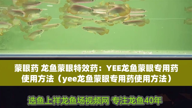 蒙眼藥 龍魚蒙眼特效藥：YEE龍魚蒙眼專用藥使用方法（yee龍魚蒙眼專用藥使用方法）
