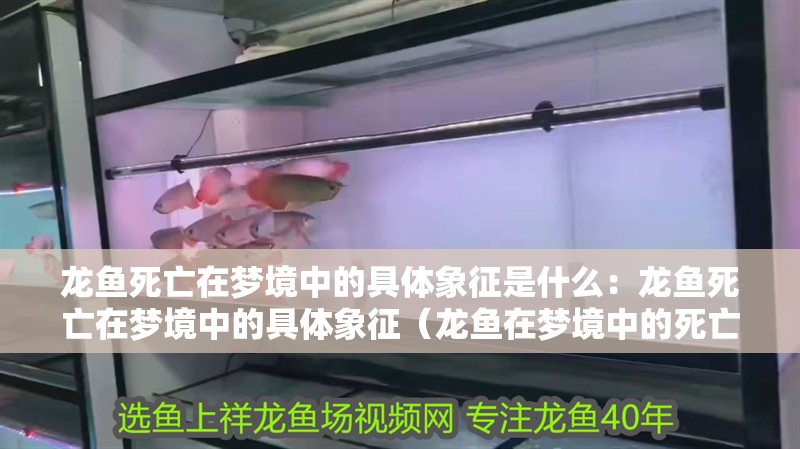 龍魚死亡在夢境中的具體象征是什么：龍魚死亡在夢境中的具體象征（龍魚在夢境中的死亡在夢境中的象征意義背后的含義）