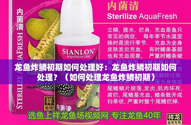 龍魚(yú)炸鱗初期如何處理好：龍魚(yú)炸鱗初期如何處理？（如何處理龍魚(yú)炸鱗初期）
