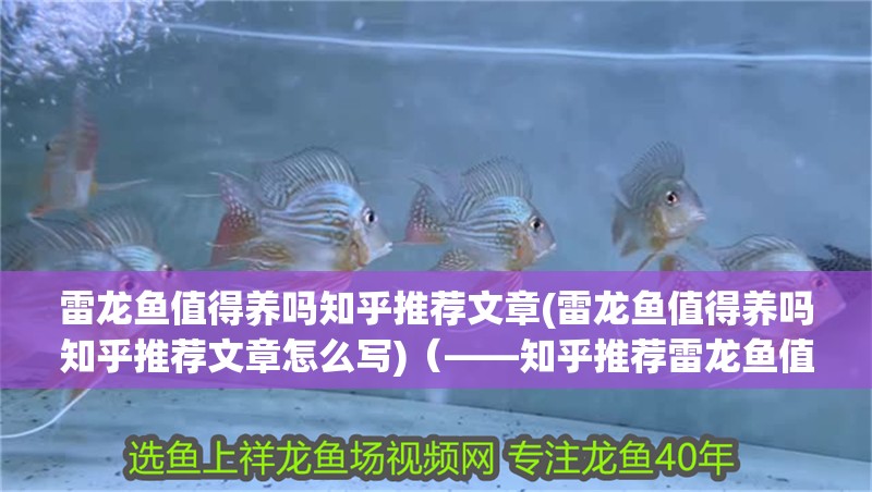 雷龍魚值得養嗎知乎推薦文章(雷龍魚值得養嗎知乎推薦文章怎么寫)（——知乎推薦雷龍魚值得養嗎，雷龍魚值得養嗎）