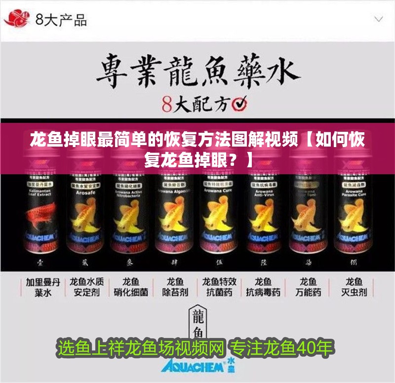 龍魚掉眼最簡單的恢復方法圖解視頻【如何恢復龍魚掉眼？】
