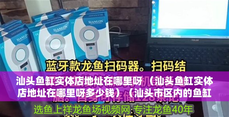 汕頭魚缸實體店地址在哪里呀 （汕頭魚缸實體店地址在哪里呀多少錢）（汕頭市區內的魚缸實體店）