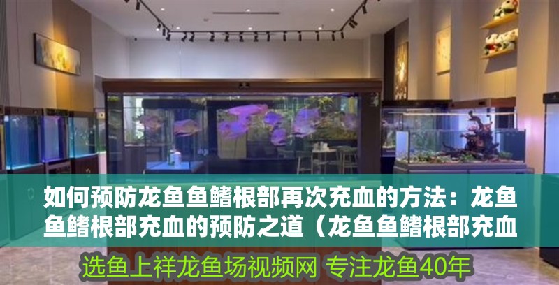 如何預防龍魚魚鰭根部再次充血的方法：龍魚魚鰭根部充血的預防之道（龍魚魚鰭根部充血的原因）