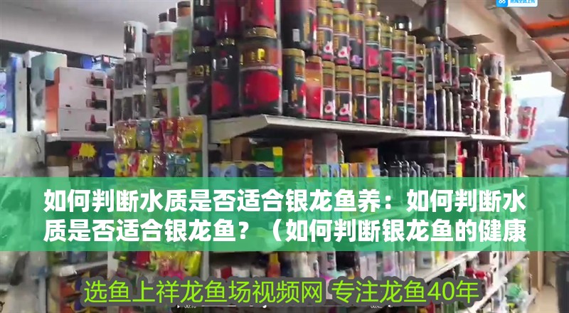 如何判斷水質是否適合銀龍魚養：如何判斷水質是否適合銀龍魚？（如何判斷銀龍魚的健康）