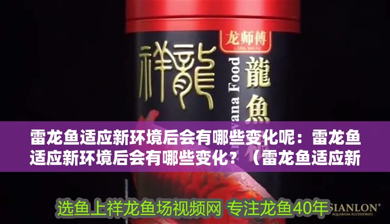 雷龍魚適應新環境后會有哪些變化呢：雷龍魚適應新環境后會有哪些變化？（雷龍魚適應新環境會有哪些變化？）