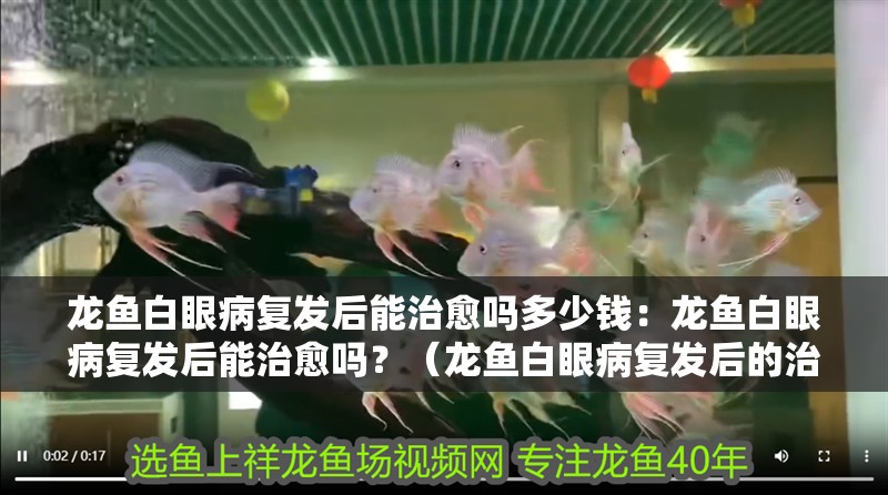 龍魚白眼病復發后能治愈嗎多少錢：龍魚白眼病復發后能治愈嗎？（龍魚白眼病復發后的治愈可能與以下幾個因素有關）