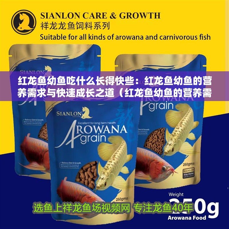 紅龍魚幼魚吃什么長得快些：紅龍魚幼魚的營養需求與快速成長之道（紅龍魚幼魚的營養需求）