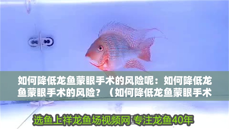 如何降低龍魚蒙眼手術(shù)的風(fēng)險呢：如何降低龍魚蒙眼手術(shù)的風(fēng)險？（如何降低龍魚蒙眼手術(shù)的風(fēng)險）