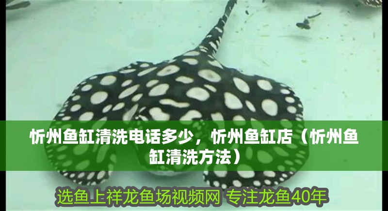 忻州魚缸清洗電話多少，忻州魚缸店（忻州魚缸清洗方法）