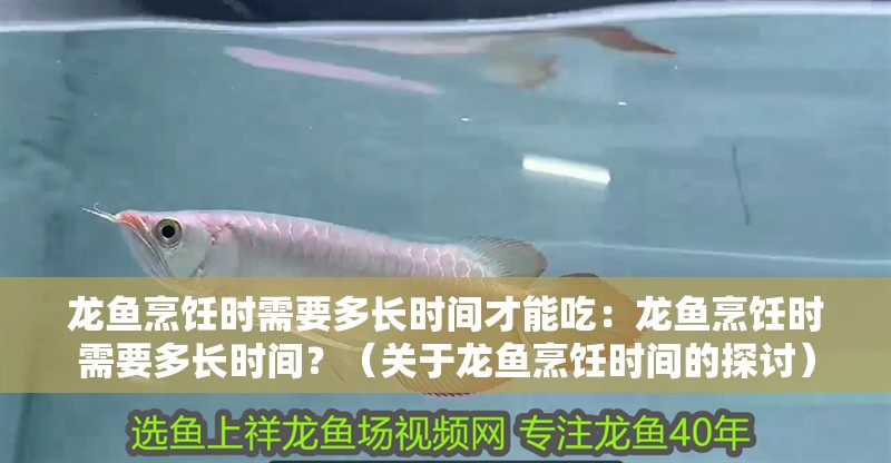 龍魚烹飪時需要多長時間才能吃：龍魚烹飪時需要多長時間？（關于龍魚烹飪時間的探討）