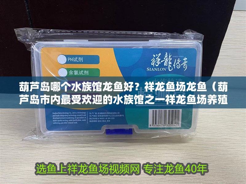 葫蘆島哪個水族館龍魚好？祥龍魚場龍魚（葫蘆島市內(nèi)最受歡迎的水族館之一祥龍魚場養(yǎng)殖技術(shù)）