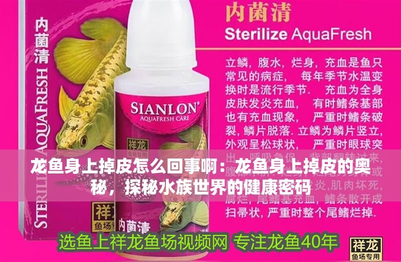 龍魚身上掉皮怎么回事啊：龍魚身上掉皮的奧秘，探秘水族世界的健康密碼