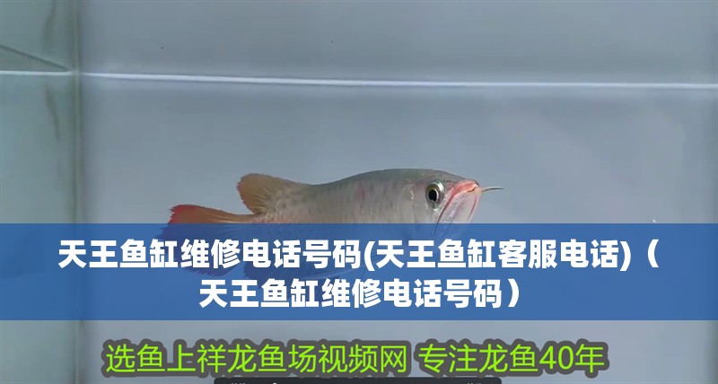 天王魚(yú)缸維修電話號(hào)碼(天王魚(yú)缸客服電話)（天王魚(yú)缸維修電話號(hào)碼）