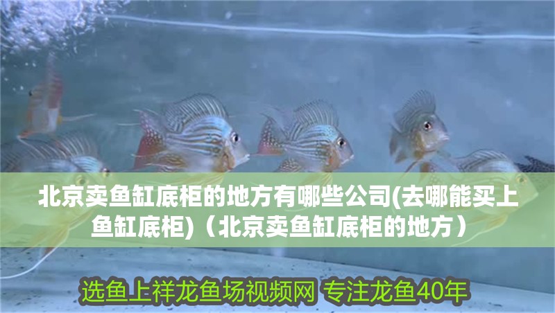 <strong><mark>北京</mark></strong>賣魚缸底柜的地方有哪些公司(去哪能買上魚缸底柜)（<strong><mark>北京</mark></strong>賣魚缸底柜的地方）