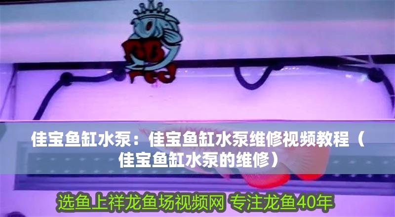 佳寶魚缸水泵：佳寶魚缸水泵維修視頻教程（佳寶魚缸水泵的維修）