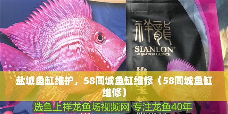 鹽城魚缸維護，58同城魚缸維修（58同城魚缸維修）