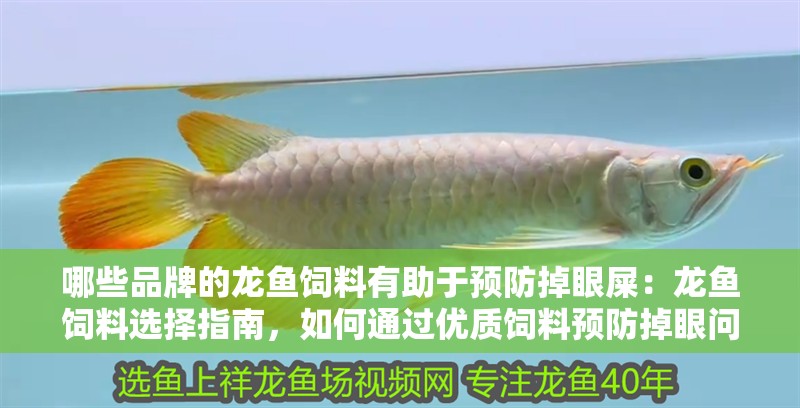 哪些品牌的龍魚飼料有助于預防掉眼屎：龍魚飼料選擇指南，如何通過優質飼料預防掉眼問題（如何選擇龍魚飼料）