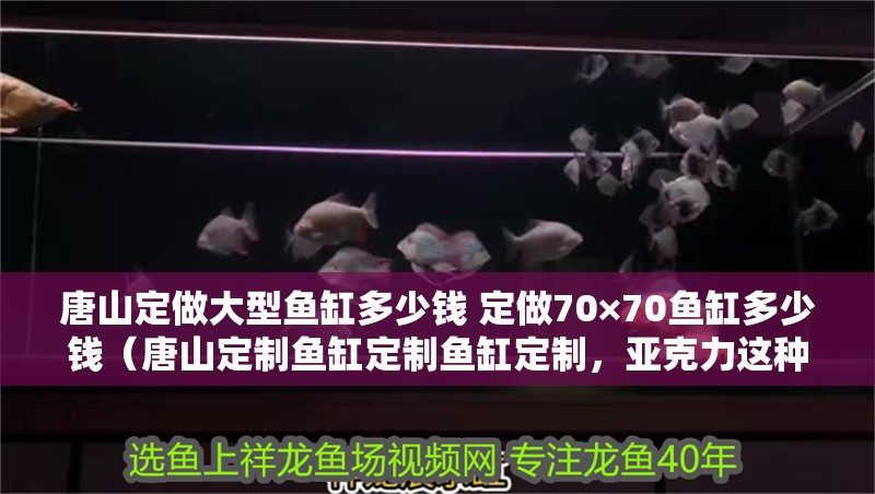 <strong><mark>唐山</mark></strong>定做大型魚缸多少錢 定做70×70魚缸多少錢（<strong><mark>唐山</mark></strong>定制魚缸定制魚缸定制，亞克力這種材料其實不推薦）