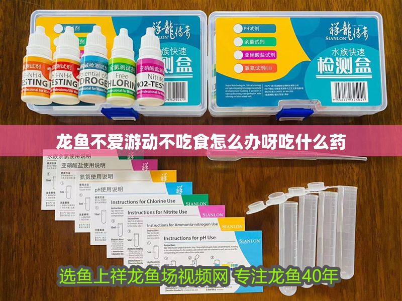 龍魚不愛游動不吃食怎么辦呀吃什么藥