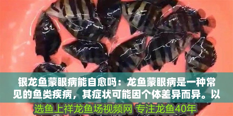 銀龍魚蒙眼病能自愈嗎：龍魚蒙眼病是一種常見的魚類疾病，其癥狀可能因個體差異而異。以下是銀龍魚蒙眼病的一些常見癥狀（銀龍魚蒙眼病的常見癥狀）