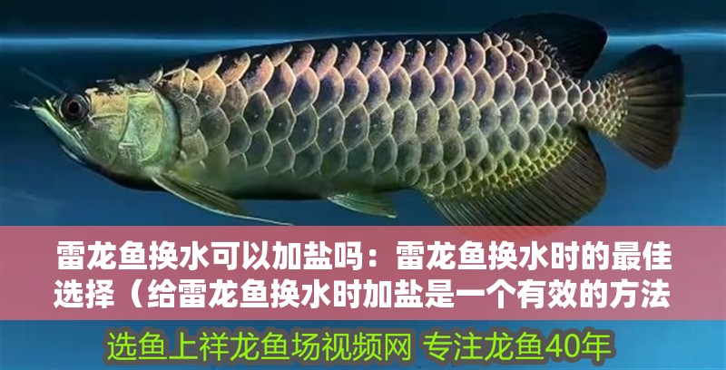 雷龍魚換水可以加鹽嗎：雷龍魚換水時的最佳選擇（給雷龍魚換水時加鹽是一個有效的方法，雷龍魚換水時應注意什么） 雷龍魚換水可以加鹽嗎：雷龍魚換水時的最佳選擇（給雷龍魚換水時加鹽是一個有效的方法，雷龍魚換水時應注意什么） 水族問答
