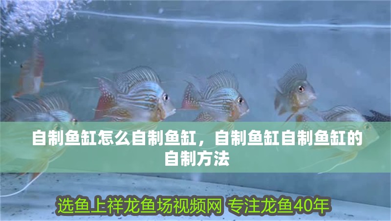 自制魚缸怎么自制魚缸，自制魚缸自制魚缸的自制方法