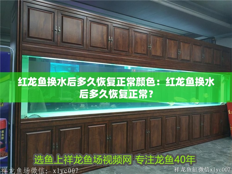 紅龍魚換水后多久恢復正常顏色：紅龍魚換水后多久恢復正常？