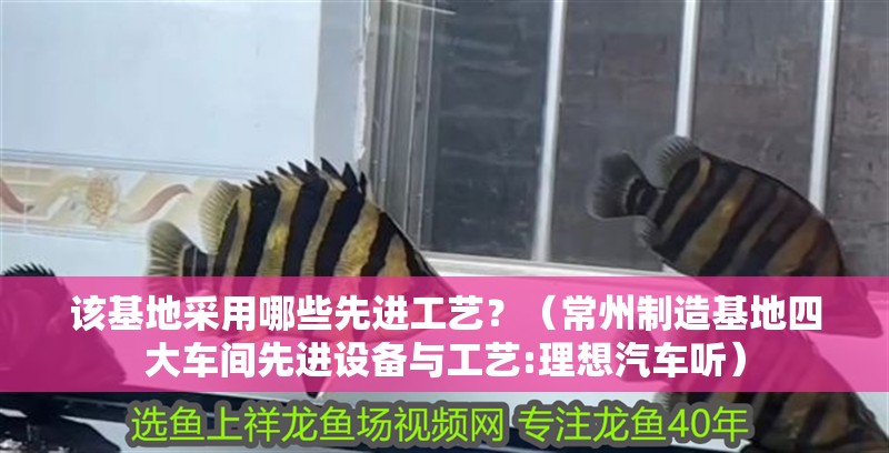 該基地采用哪些先進(jìn)工藝？（<strong><mark>常州</mark></strong>制造基地四大車間先進(jìn)設(shè)備與工藝:理想汽車聽）