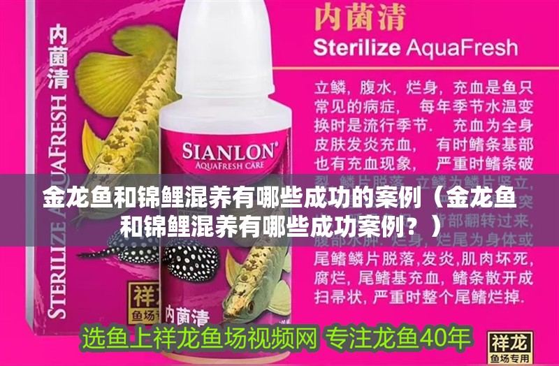 金龍魚和錦鯉混養有哪些成功的案例（金龍魚和錦鯉混養有哪些成功案例？） 金龍魚和錦鯉混養有哪些成功的案例（金龍魚和錦鯉混養有哪些成功案例？） 龍魚百科