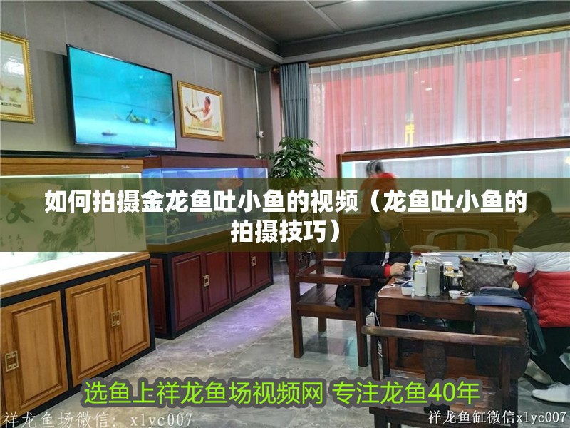 魚缸用增氧泵價格是多少:魚缸增氧機-xtrac增氧機-xtrac增氧機 如何拍攝金龍魚吐小魚的視頻(龍魚吐小魚的拍攝技巧) 龍魚百科 如何拍攝金龍魚吐小魚的視頻(龍魚吐小魚的拍攝技巧) 如何拍攝金龍魚吐小魚的視頻(龍魚吐小魚的拍攝技巧) 龍魚百科