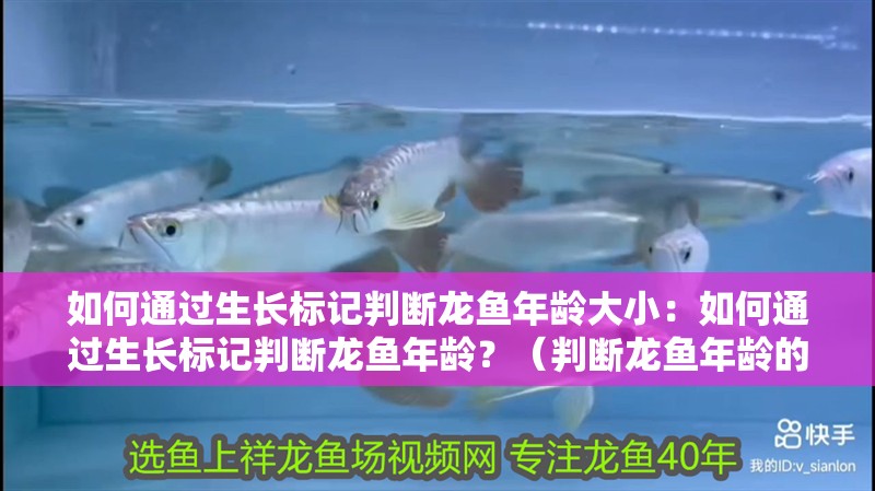 如何通過生長標記判斷龍魚年齡大?。喝绾瓮ㄟ^生長標記判斷龍魚年齡？（判斷龍魚年齡的重要標志，龍魚年齡的重要指標是什么）