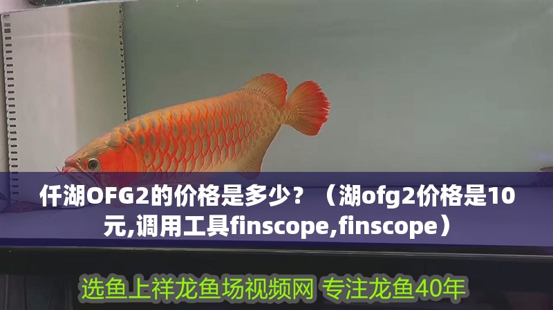 仟湖OFG2的價格是多少？（湖ofg2價格是10元,調用工具finscope,finscope）